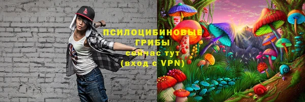 прущий лед Абаза