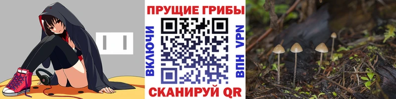 Псилоцибиновые грибы мухоморы как найти Мамадыш